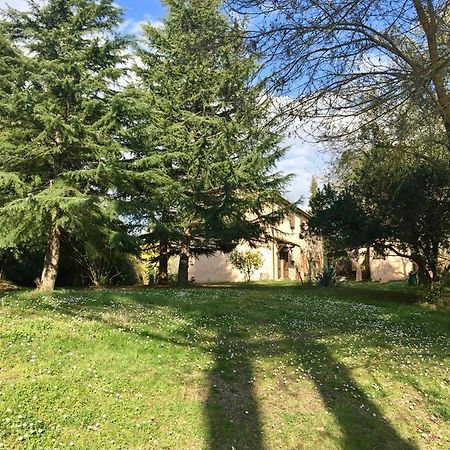 Agriturismo Bethsaid Fauglia Kültér fotó