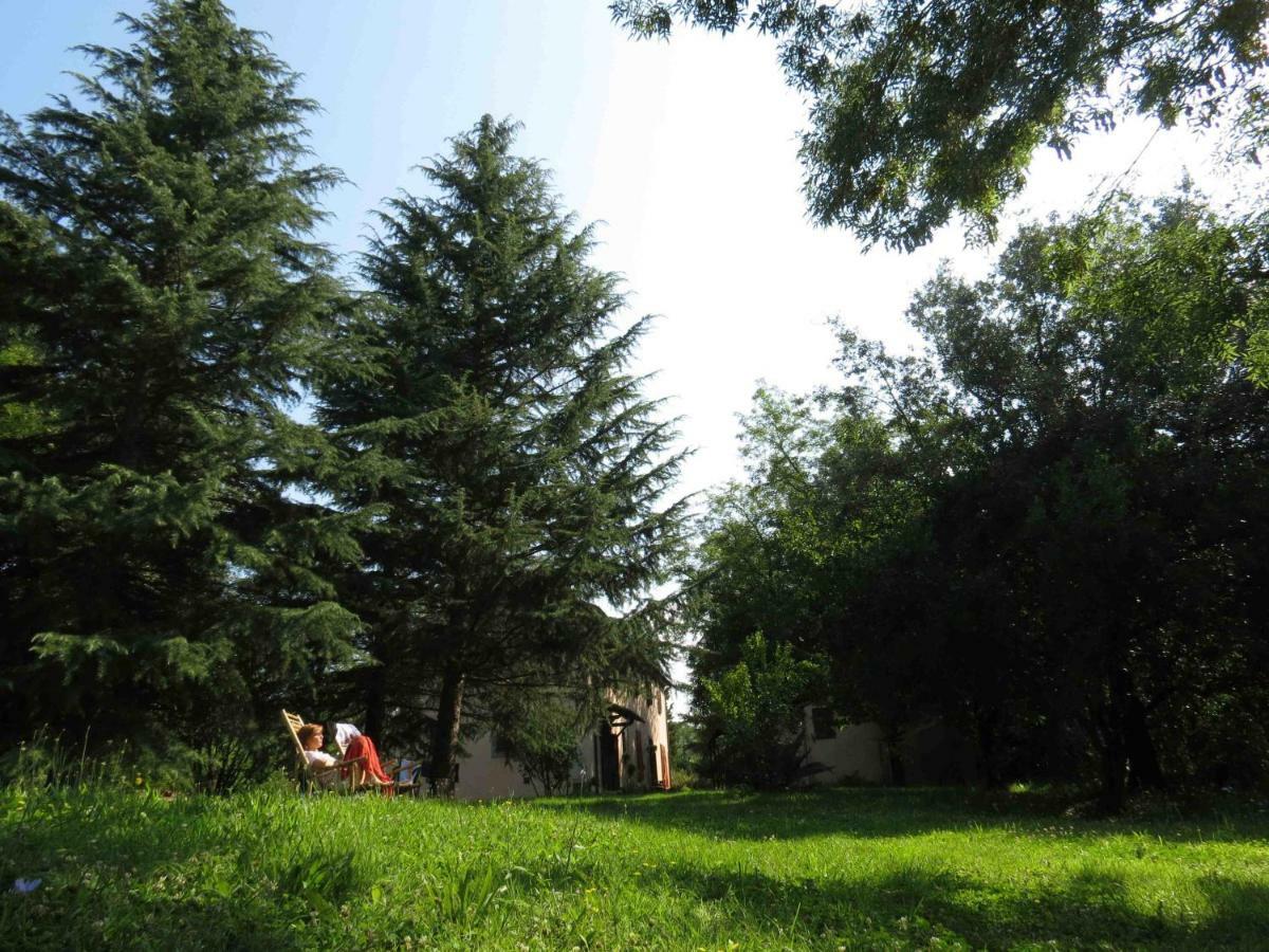 Agriturismo Bethsaid Fauglia Kültér fotó