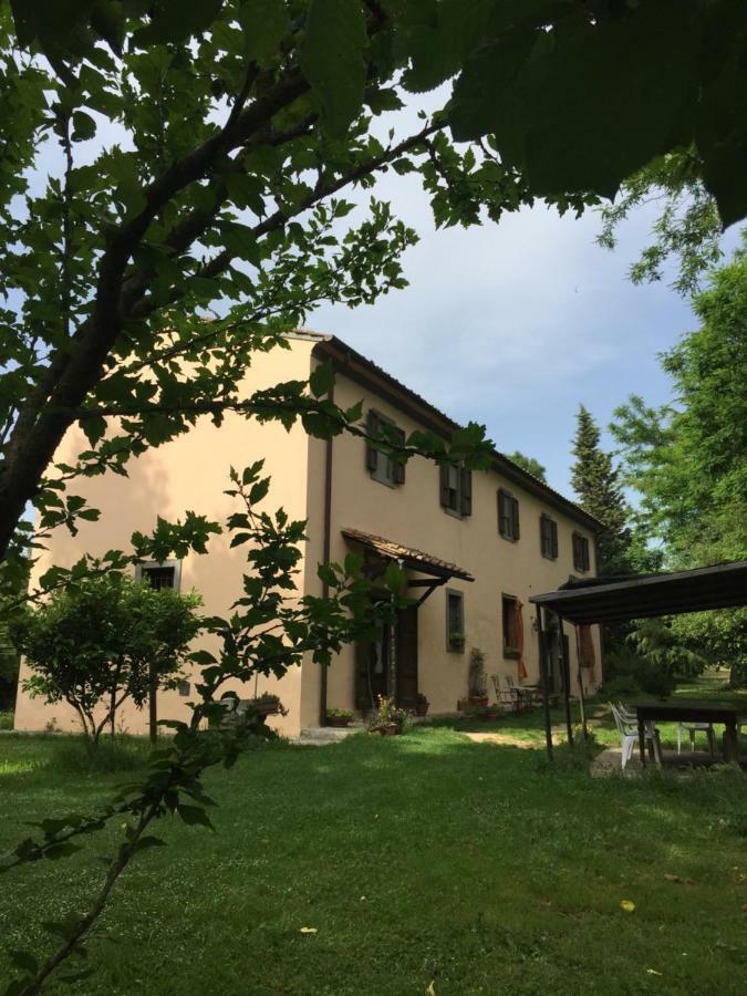 Agriturismo Bethsaid Fauglia Kültér fotó